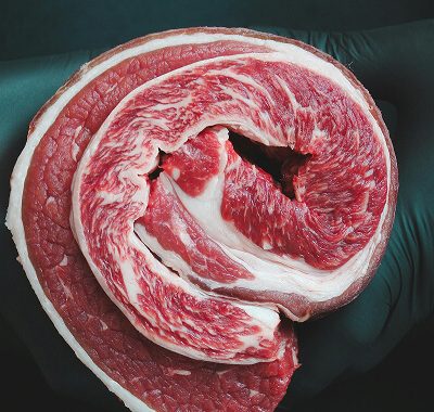 Meat